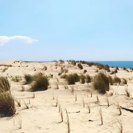 別荘 Maison Avec Terrasse, Proche Plage Et Commerces - Fr-1-705-61 *