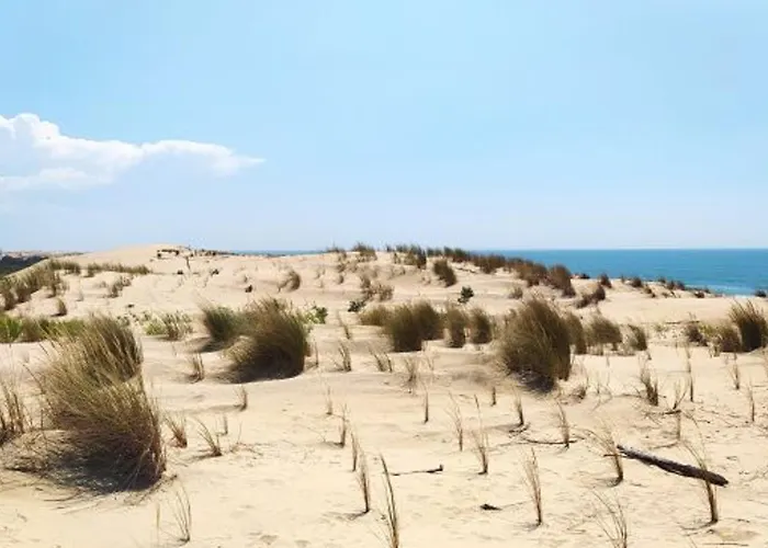 Сasa de vacaciones Maison Avec Terrasse, Proche Et Commerces - Fr-1-705-61 *